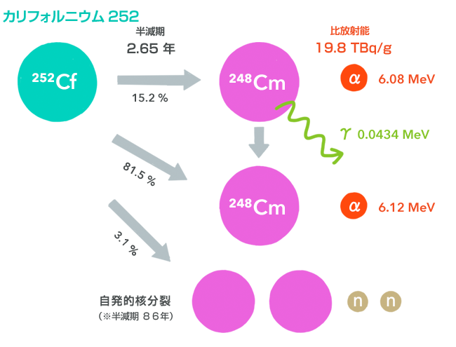 カリフォルニウム252 ※自発的核分裂の半減期は86年